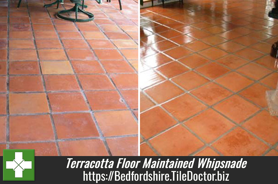 Terracotta Floor Maintained in Whipsnade